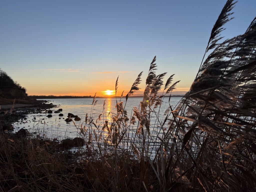 Sonnenuntergang über dem Schilf an der Wohlenberger Wiek